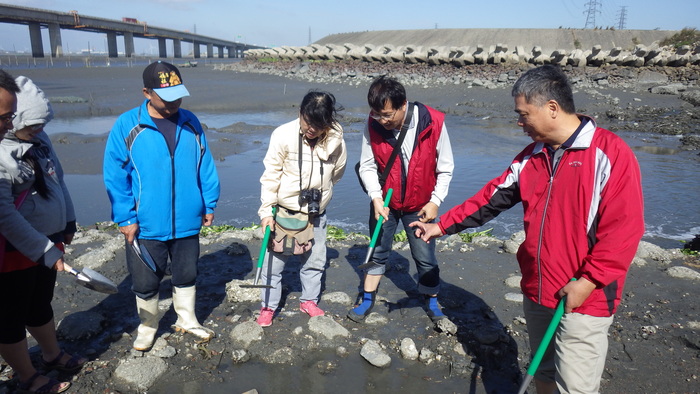 大家動手了，這次活動主要是觀察，而不進行採集和攜回~圖片