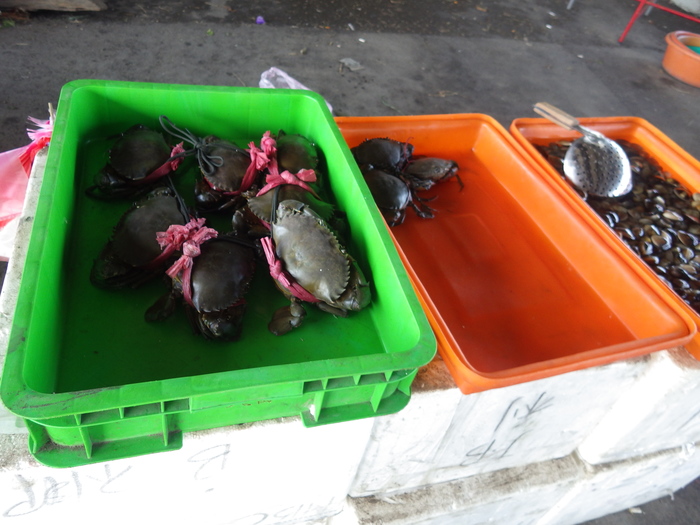 甲殼類、貝類的販售不會缺席圖片