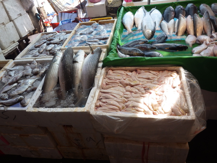 期盼漁業收穫滿滿，能夠永續發展2圖片