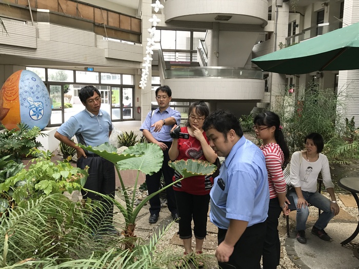 105年優質化校園生物多樣性研習-----校園藥用植物辨識成果圖片