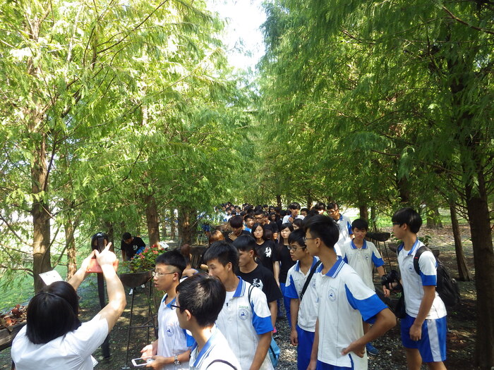 走進提供為酵素原料活生生的生物植栽走廊圖片