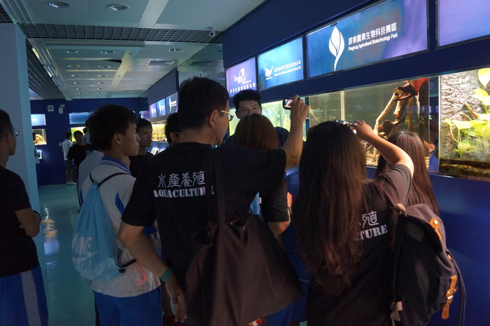 亞太水族中心的確運用生物科技發展出許多新的水族品系(拍照者:養二賴義豐)圖片