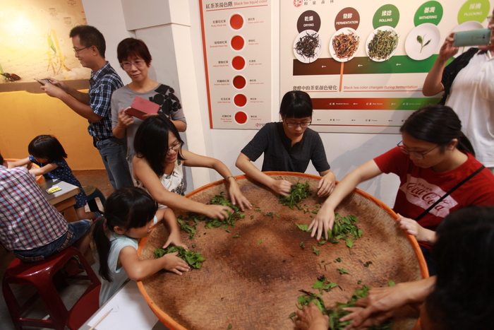 輔導室105.9.25於南投縣日月潭和菓森林紅茶莊園活動照片圖片