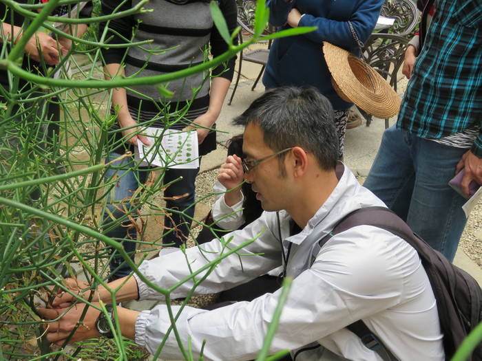 高中優質化校園生物多樣性課程植物辨識研習圓滿完成圖片