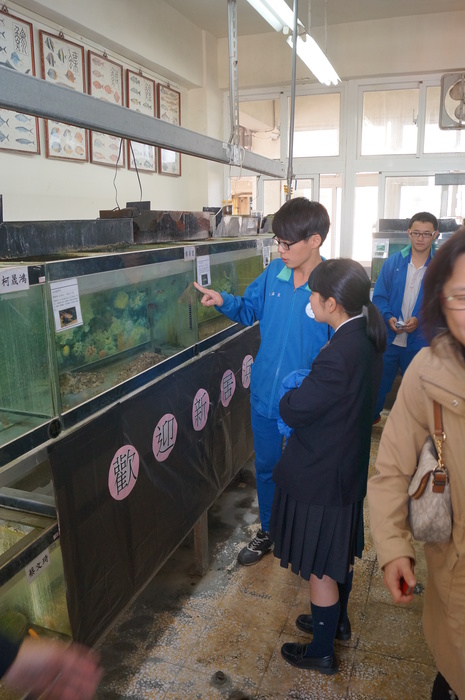 養殖科師生歡迎~日本愛媛縣訪問團(新居浜南高校)圖片