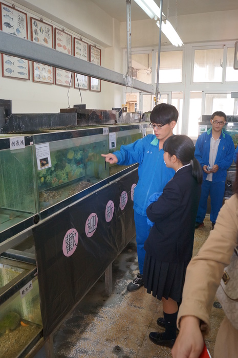 養殖科師生歡迎~日本愛媛縣訪問團(新居浜南高校)圖片