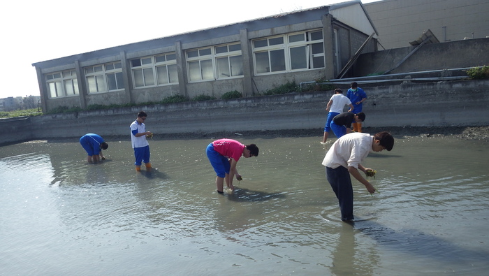 下池種苦草圖片