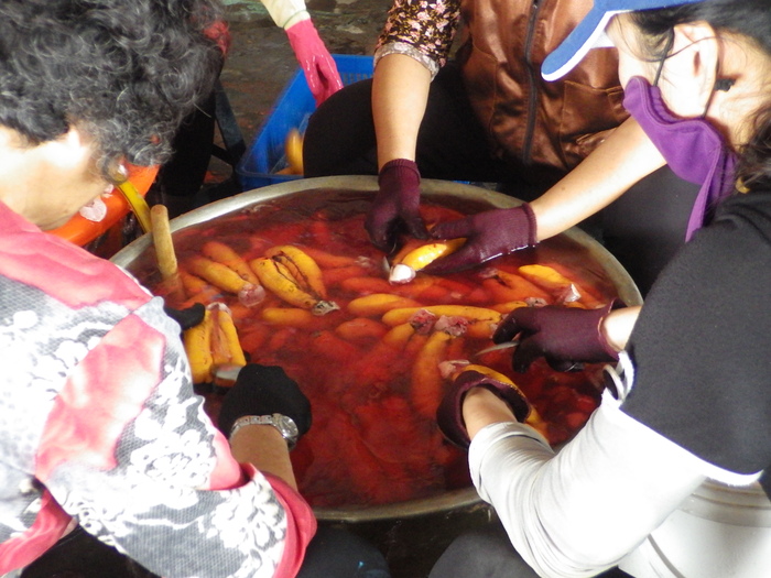 人工養殖烏魚收成&烏魚子現剖作業~~本校水產養殖科學生校外教學圖片