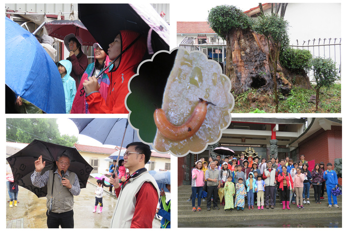 低海拔生物多樣性研習-----八卦山植物生態研習--研習成果圖片