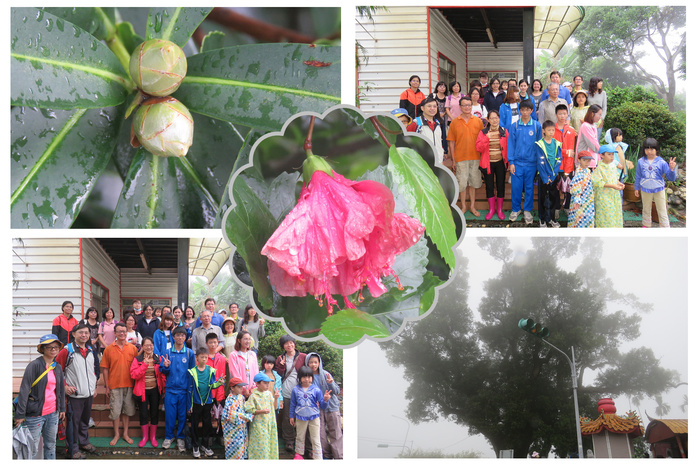低海拔生物多樣性研習-----八卦山植物生態研習--研習成果圖片