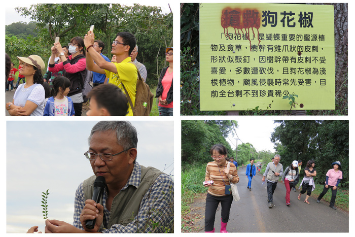 低海拔生物多樣性研習-----八卦山植物生態研習--研習成果圖片