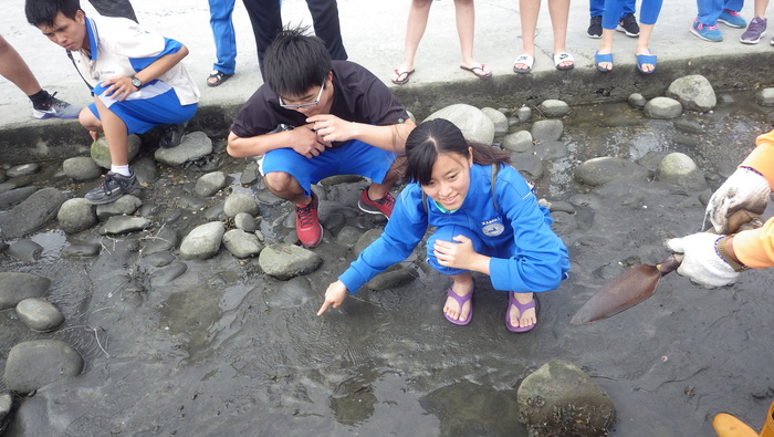 接觸潮間帶圖片