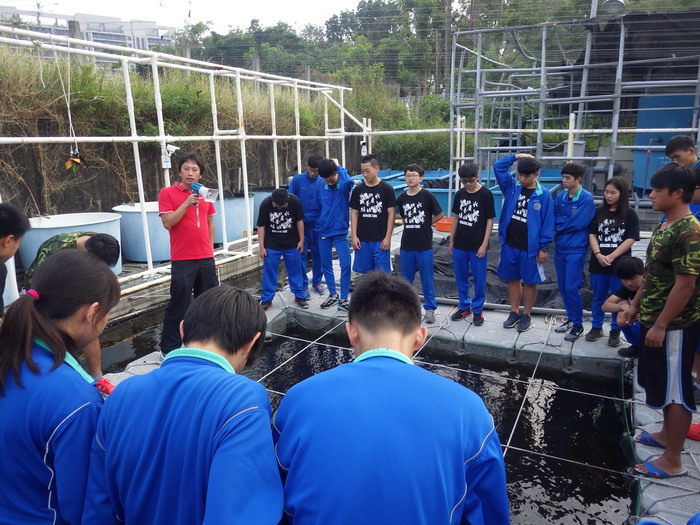 高海大養殖實習池_石斑魚養殖圖片