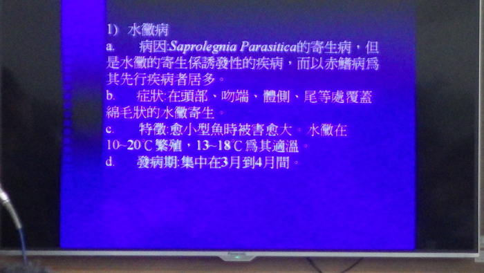水產養殖科業師協同教學_鰻魚養殖圖片