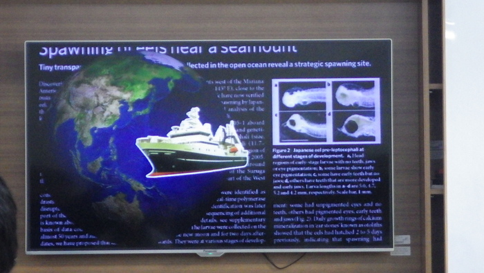 水產養殖科業師協同教學_鰻魚養殖圖片