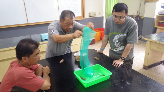 活生生的教學圖片