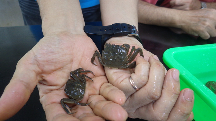 請您觀察比較圖片