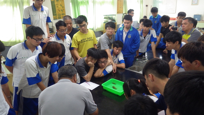 聚精會神的觀察圖片