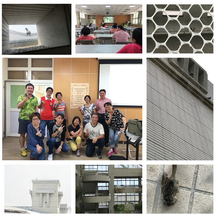 高中優質化校園生物多樣性研習- 賞鳥趣-活動成果圖片