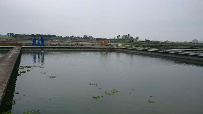 養殖科大閘蟹養殖~第二週觀察與紀錄圖片