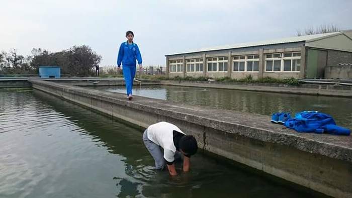養殖科大閘蟹養殖~第二週觀察與紀錄圖片