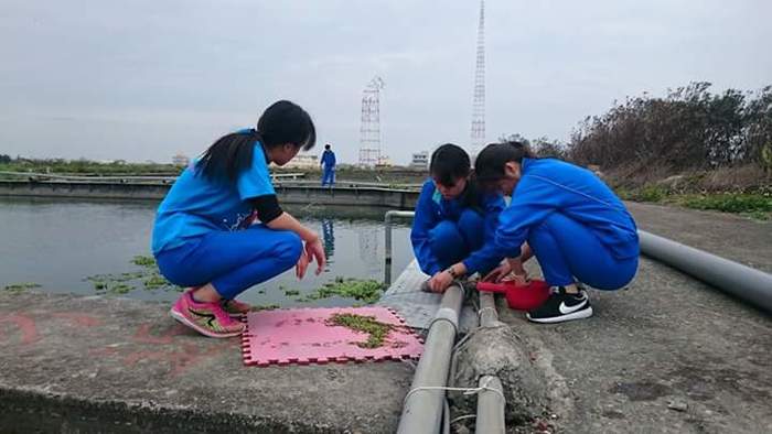 養殖科大閘蟹養殖~第二週觀察與紀錄圖片