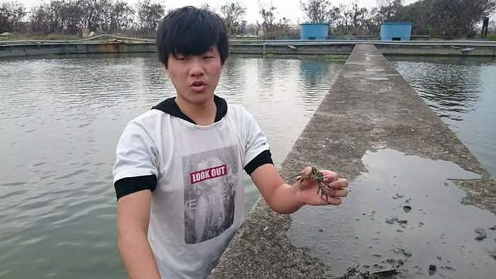 養殖科大閘蟹養殖~第二週觀察與紀錄圖片