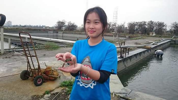 養殖科大閘蟹養殖~第二週觀察與紀錄圖片