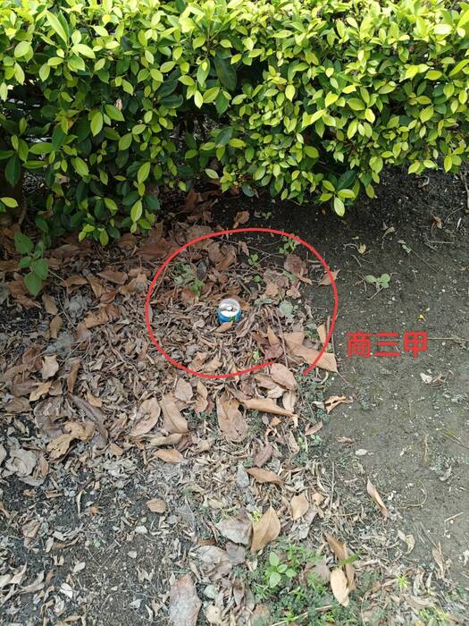 【整潔競賽】0925與0926整潔成績公告圖片