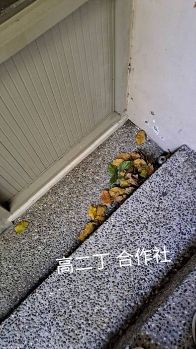 【整潔競賽】0925與0926整潔成績公告圖片