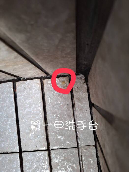 【整潔競賽】0925與0926整潔成績公告圖片