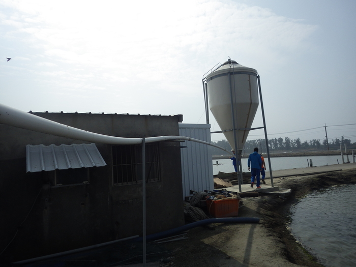 採用Silo桶的自動投餌系統圖片