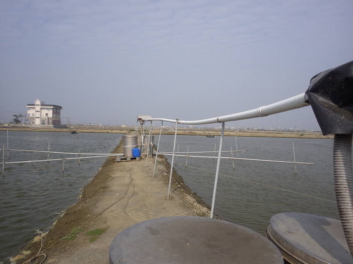 水產養殖科職場體驗~鐘添養殖場圖片