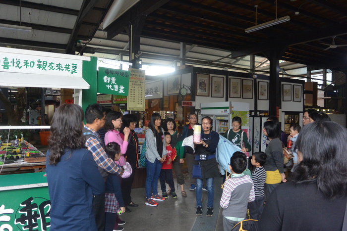 暨大櫻花之旅1070228圖片